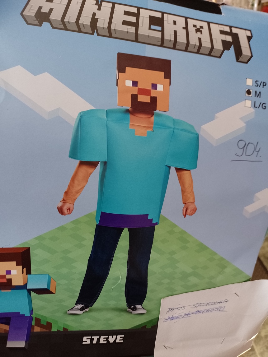 Steve Minecraft
