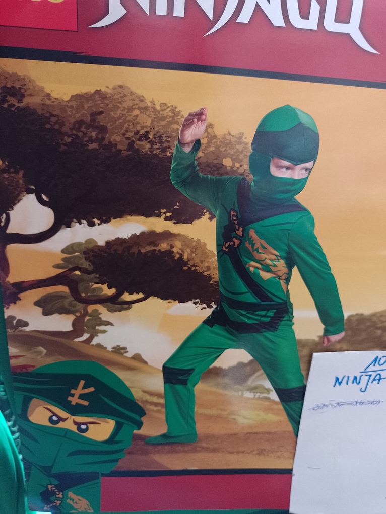 Ninja Lego ninjago (zielony)