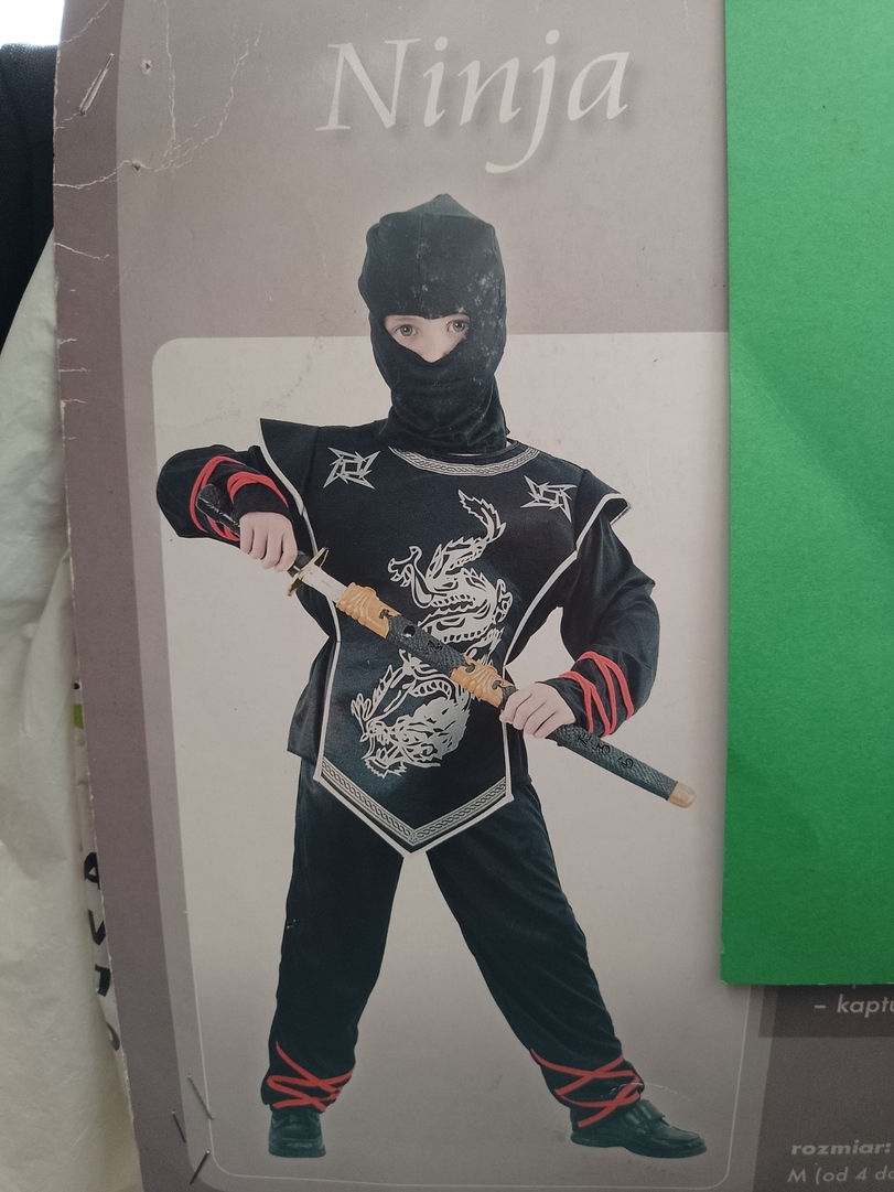Ninja Wojownik