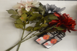 wszystkich świętych